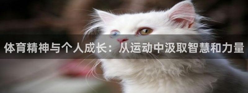 好博体育入口：体育精神与个人成长：从运动中汲取智慧和力量
